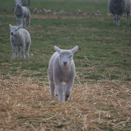 Woodhouse Farm Lodge 스폴딩 외부 사진