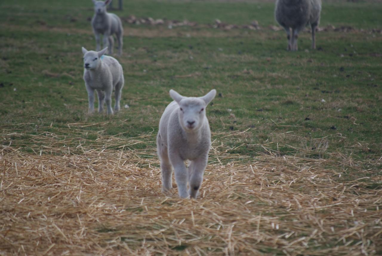 Woodhouse Farm Lodge 스폴딩 외부 사진